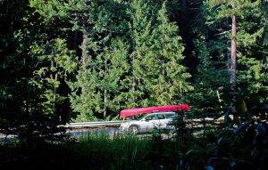 Summer Car Care Advice for Tennessee Drivers